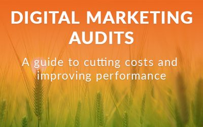 Digital Marketing Audits: A Guide To Cutting Costs & Improving Performance