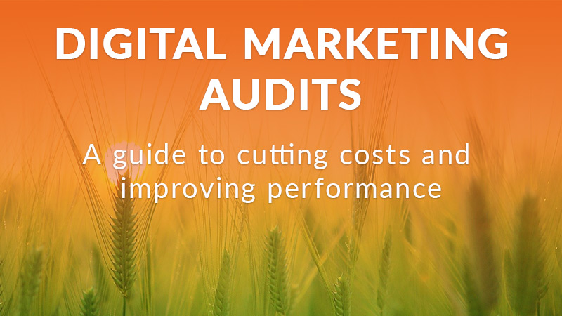 Digital Marketing Audits: A Guide To Cutting Costs & Improving Performance