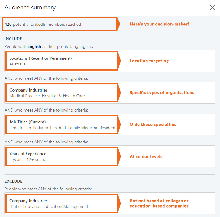 linkedin lead audience summary 